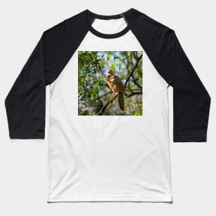 Plain Chachalaca Early Morning Baseball T-Shirt